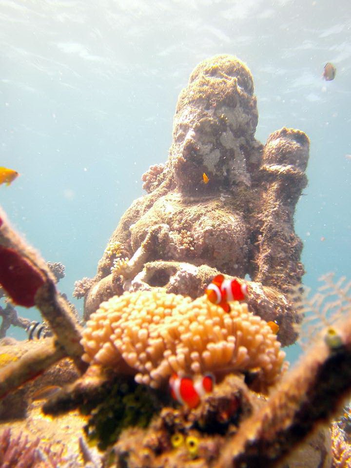 Подводная скульптура и морская жизнь у Пемутерана