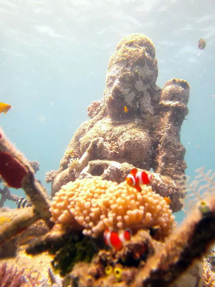 Подводная скульптура и морская жизнь у Пемутерана