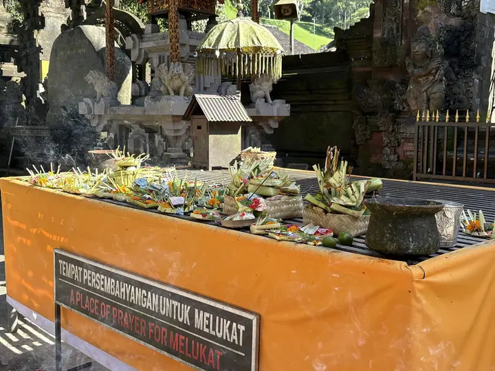 Подношения в храме Тирта Эмпул