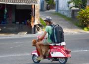 Какие водительские права на Бали подходят?